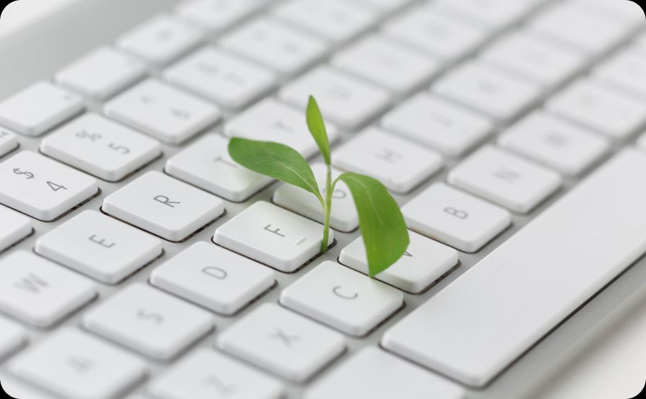 <span class="highlight"> Positive </span> Global Concerns on Sustainability